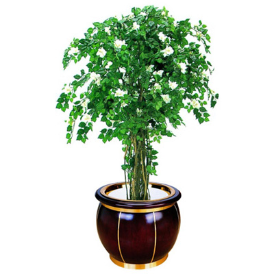 鼓形花盆(銅木)