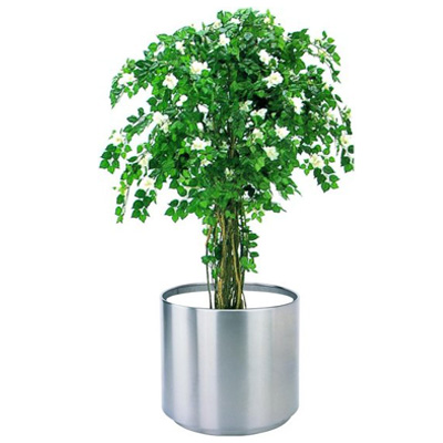 不銹鋼大堂花盆